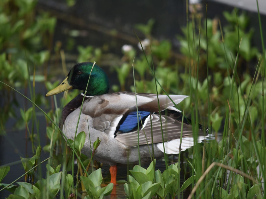 Wakehurst-Haywards Heath必去景点