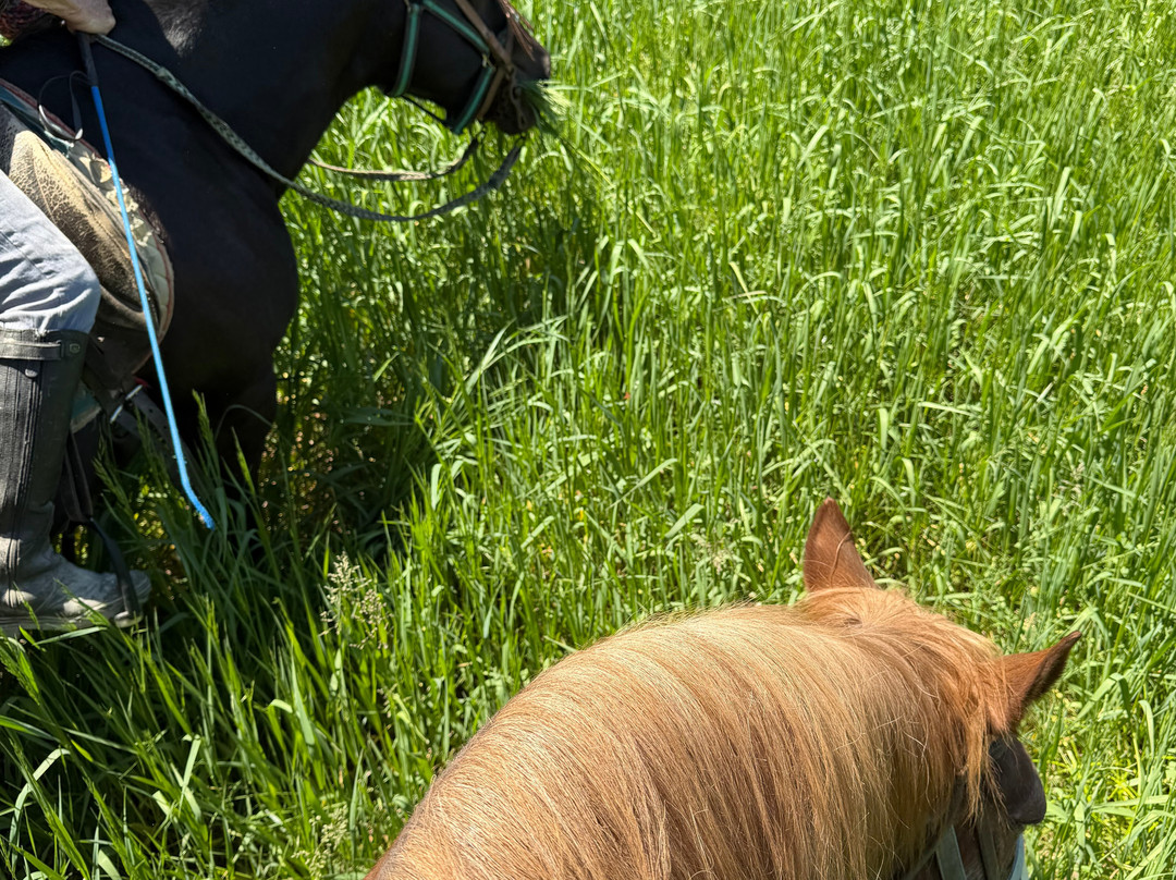Pumpkin Ridge Animal Sanctuary-New Plymouth必去景点