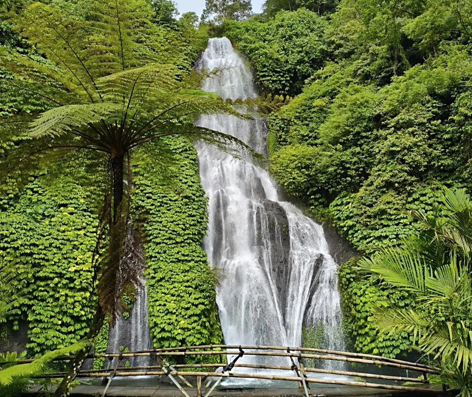 Munduk Luwih Tour-Wanagiri必去景点