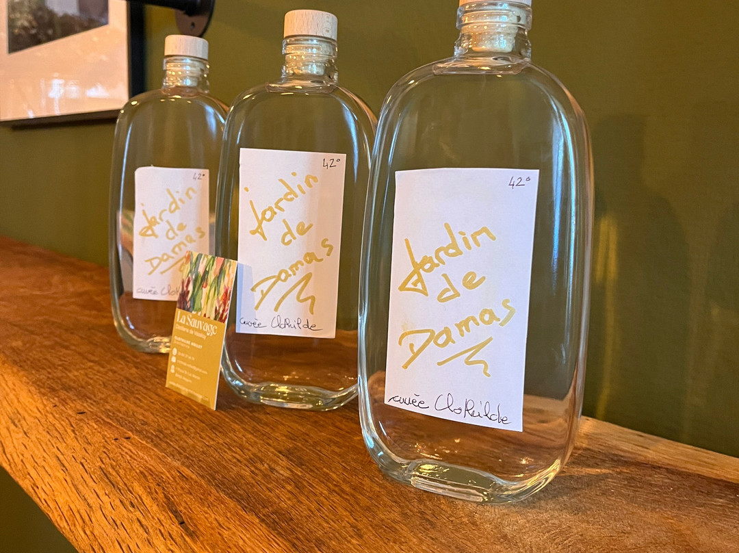 La Sauvage Boutique Et Ateliers-韦兹莱必去景点