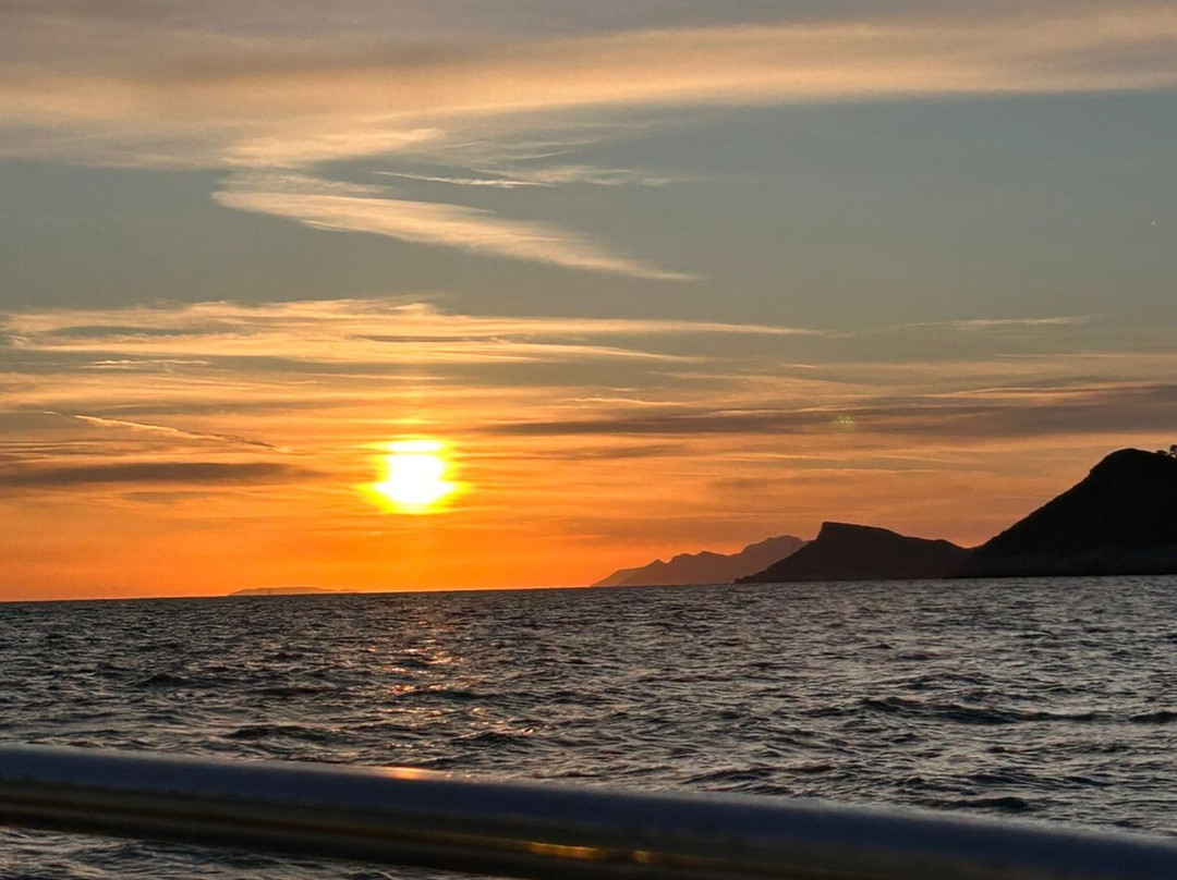 Galeb Boat Tours-Kolocep Island必去景点