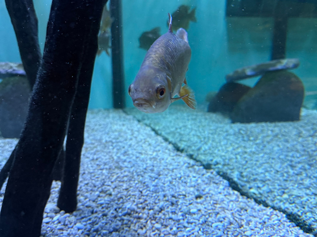 Aquarium Terrarium-克尔克必去景点