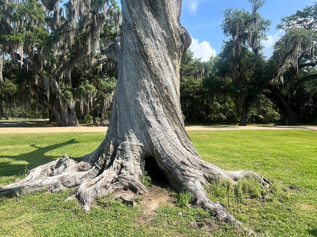 Fontainebleau State Park-Mandeville必去景点
