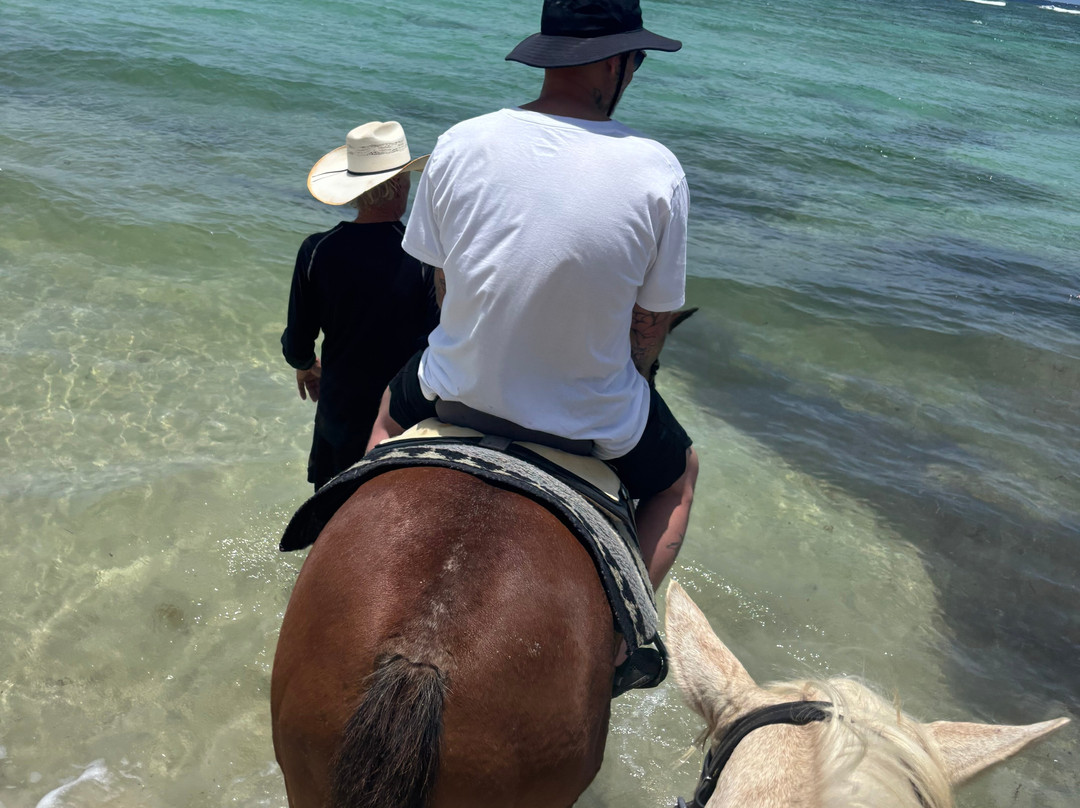 Equus Rides Horseback Riding St. Croix-Frederiksted必去景点