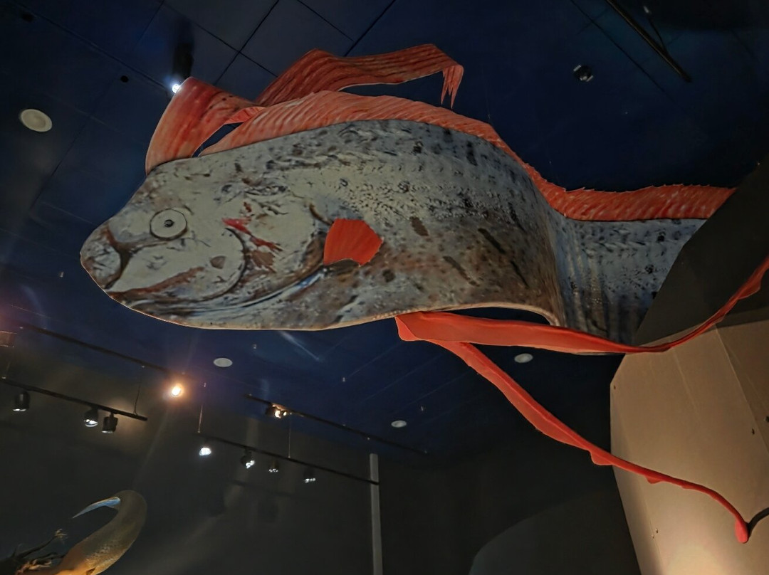 Fiskeri- og Søfartsmuseet-艾斯堡必去景点