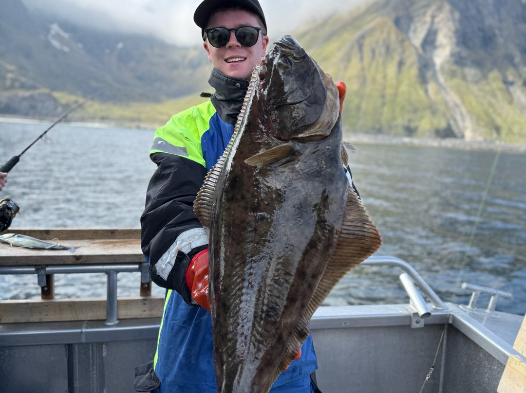 Arctic Spearfishing & guided fishing-Ballstad必去景点