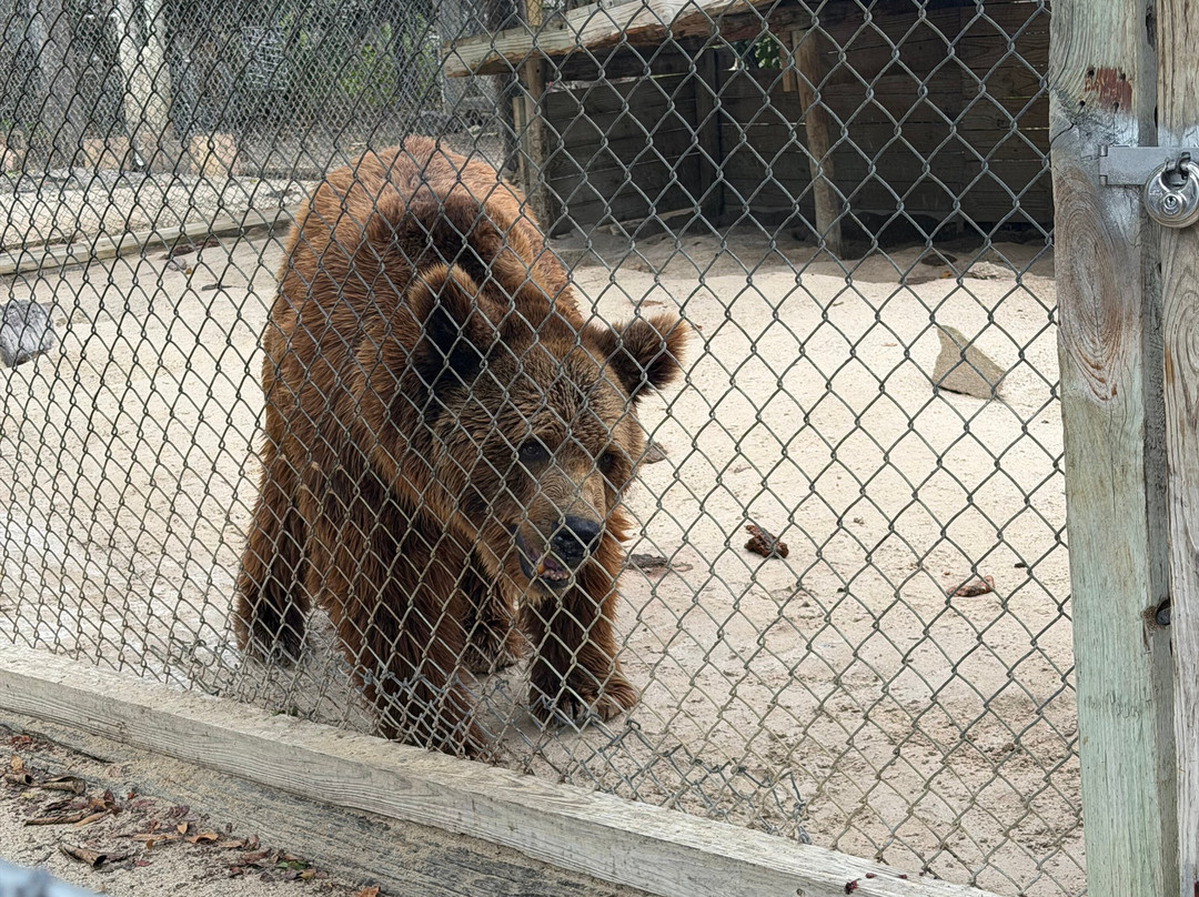 Octagon Wildlife Sanctuary-蓬塔戈尔达必去景点