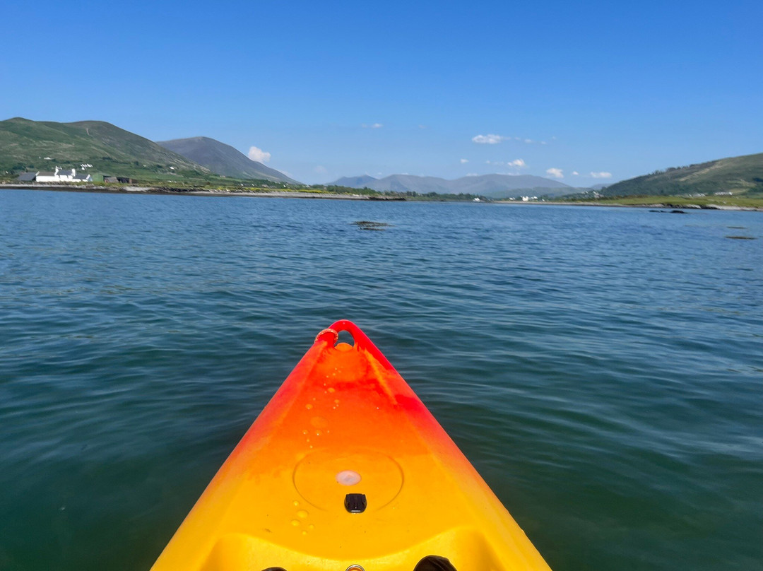 Sea Synergy Marine Awareness and Activity Centre-Cahersiveen必去景点