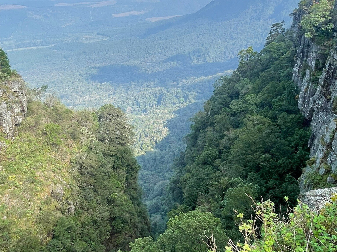 Shinzelle Safaris-雾观必去景点