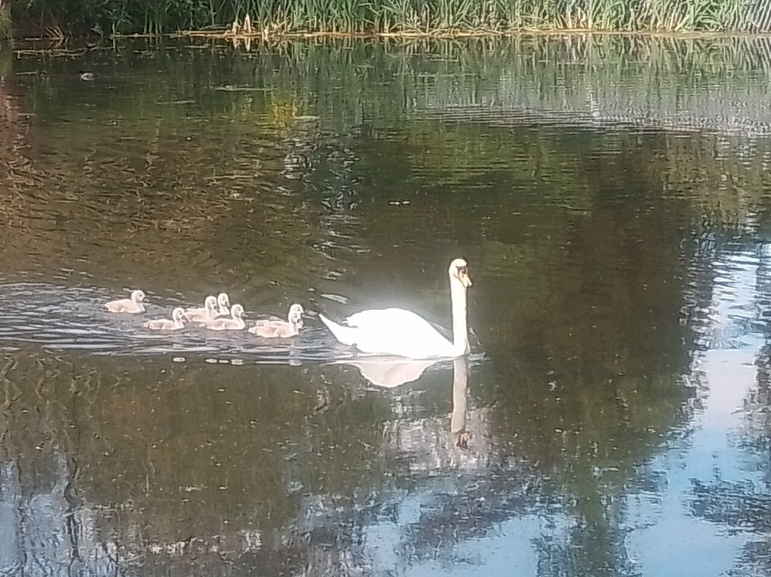 Trentham Gardens-Trentham必去景点