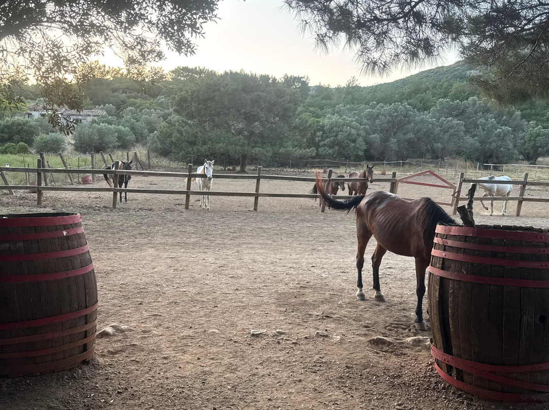 Panouris Ranch-Samos Town必去景点