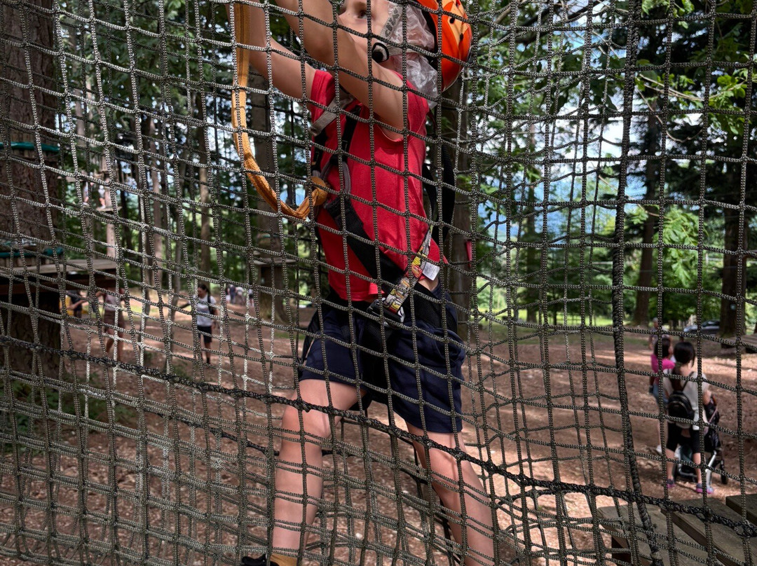 Jungle Raider Park-Albavilla必去景点