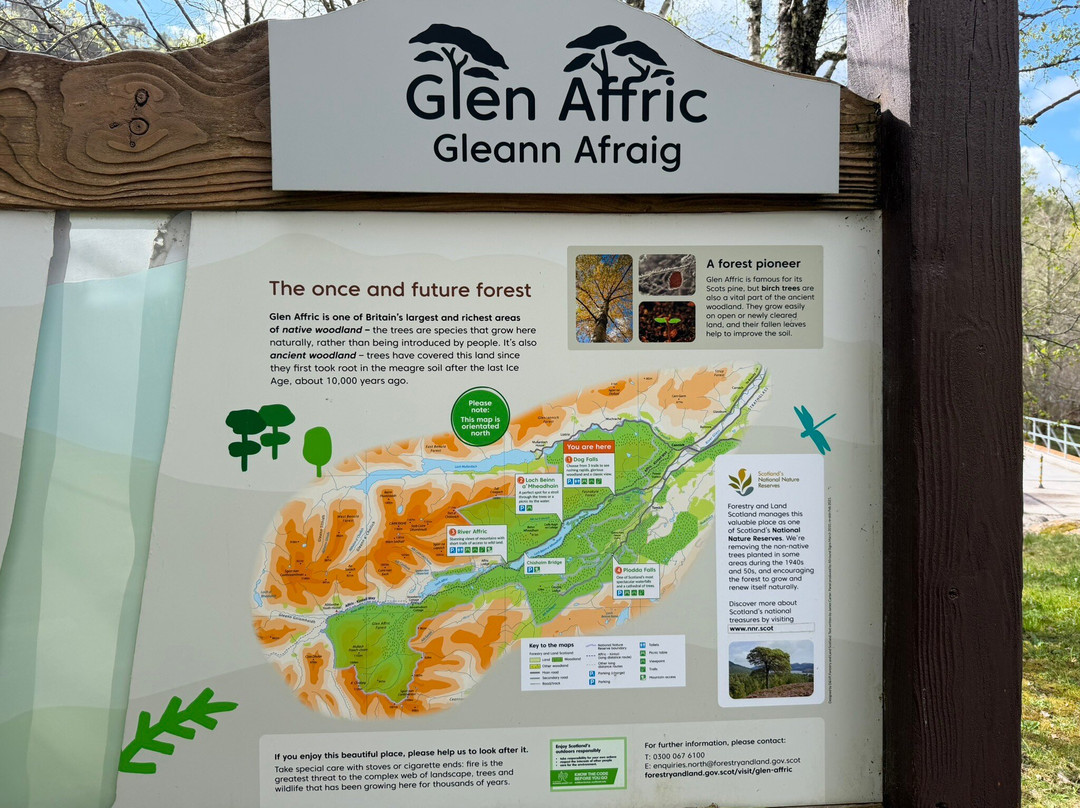 Glen Affric National Nature Reserve-Cannich必去景点