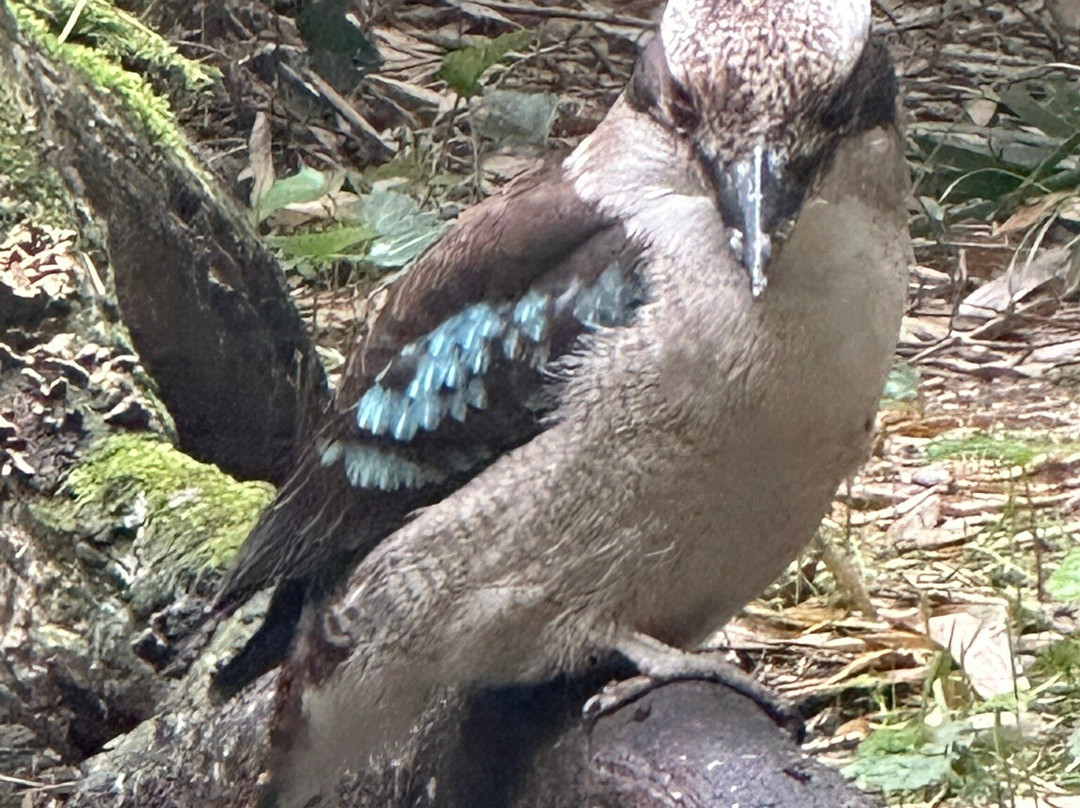 Zoo de Bordeaux Pessac-Pessac必去景点