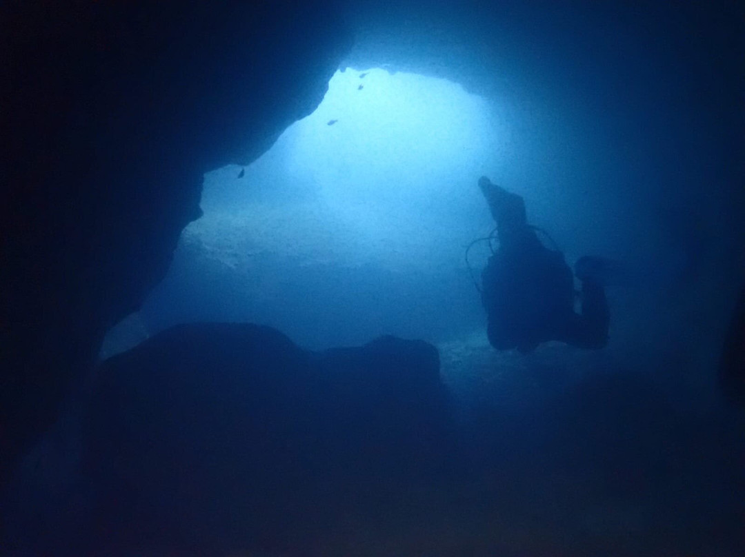 Coral Diving Crete-Anissaras必去景点