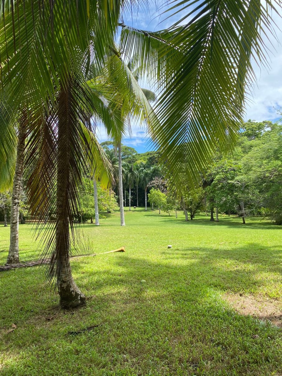 Bosque del Cabo Rain Forest Lodge-旅行者