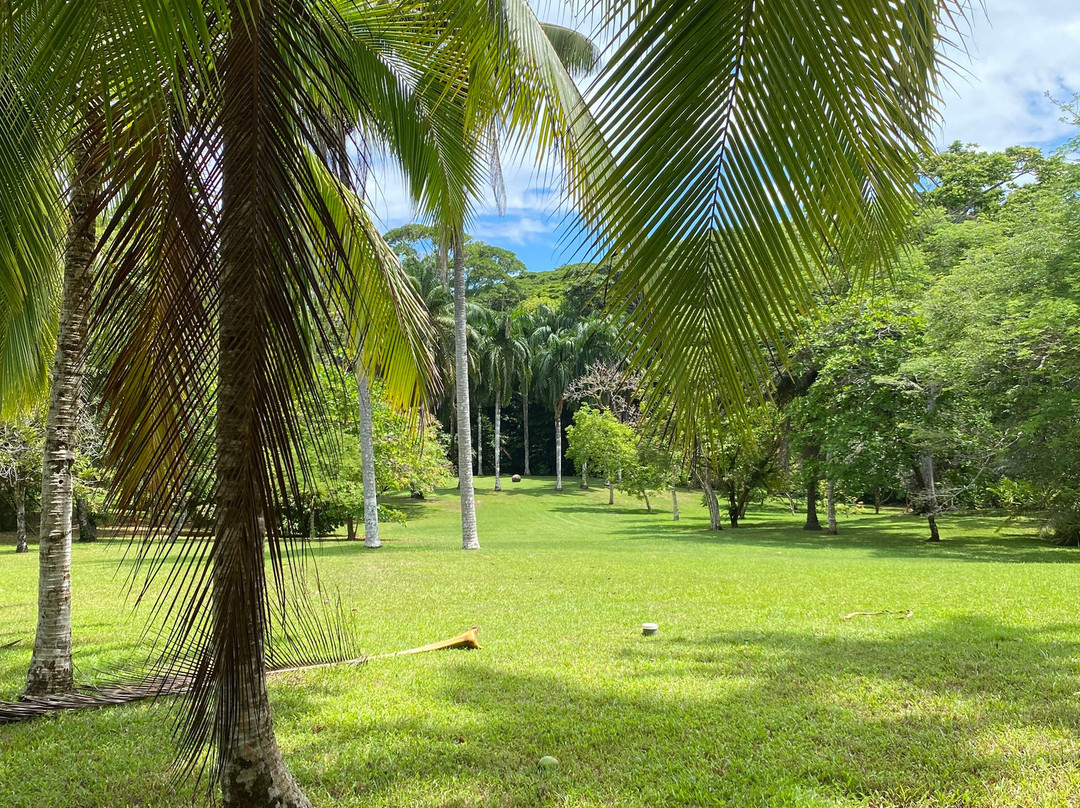 Bosque del Cabo Rain Forest Lodge主图