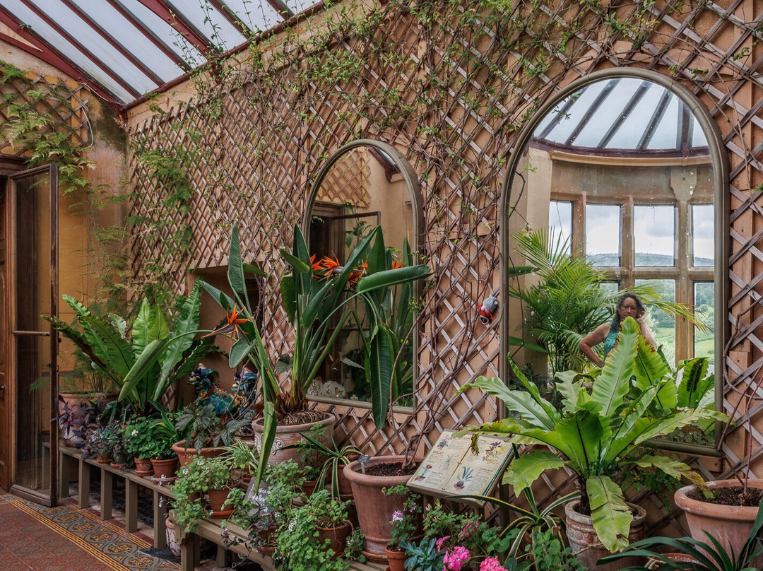 Dunster Castle-Dunster必去景点