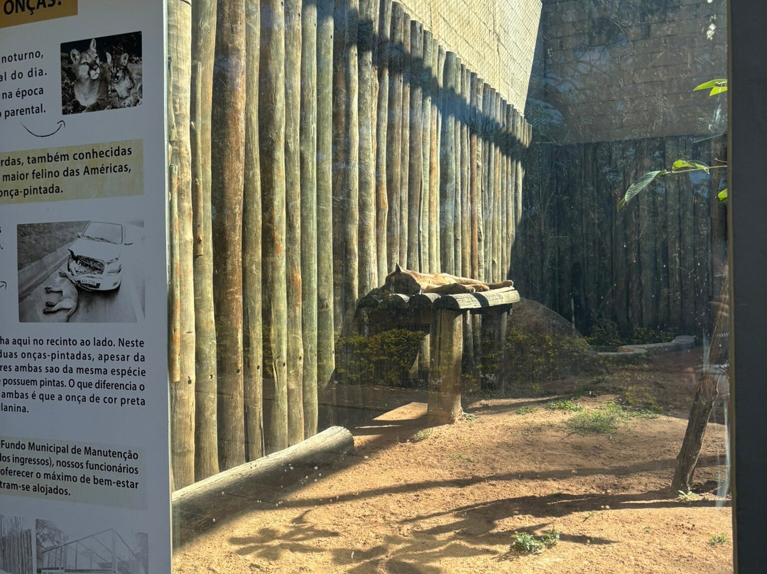 Parque Zoologico Municipal de Bauru-Bauru必去景点
