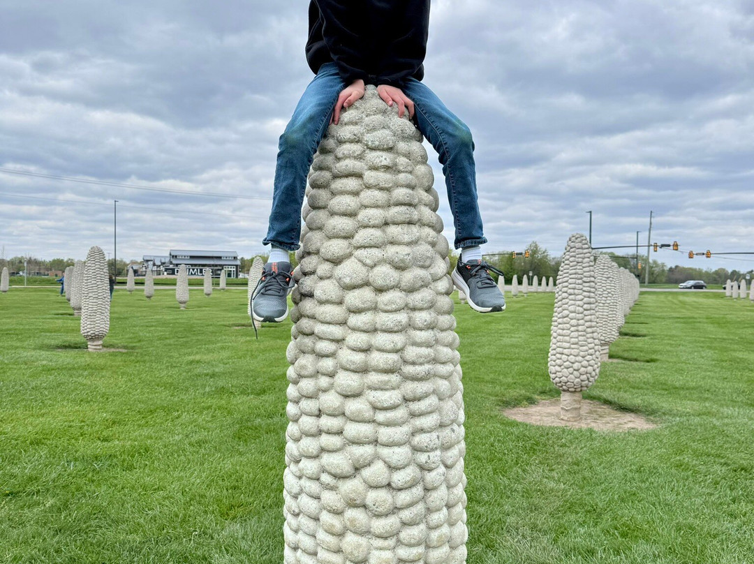 Field of Giant Corn Ears-都柏林必去景点