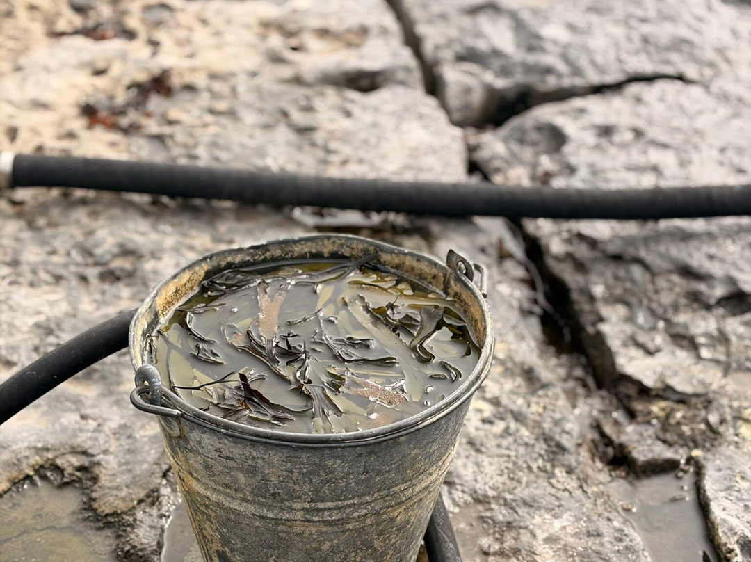 Wild Atlantic Seaweed Baths-Ballaghaline必去景点