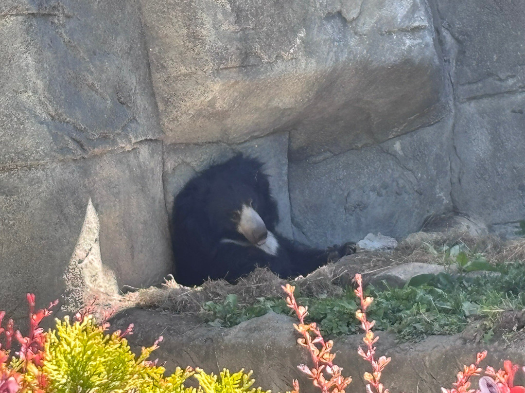 Detroit Zoo-罗亚尔奥克必去景点