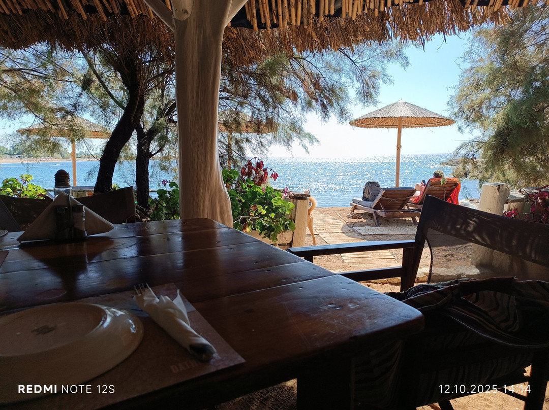 Vatsa Beach restaurant