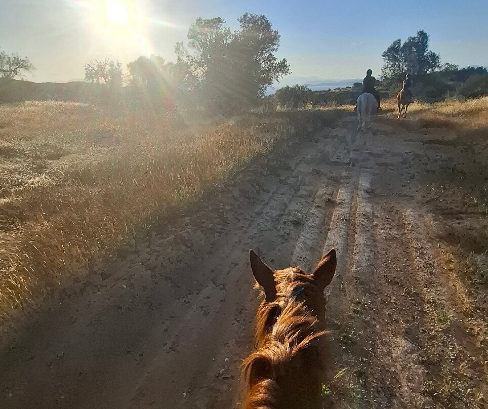 Wild Thyme Ranch-Kranidi必去景点