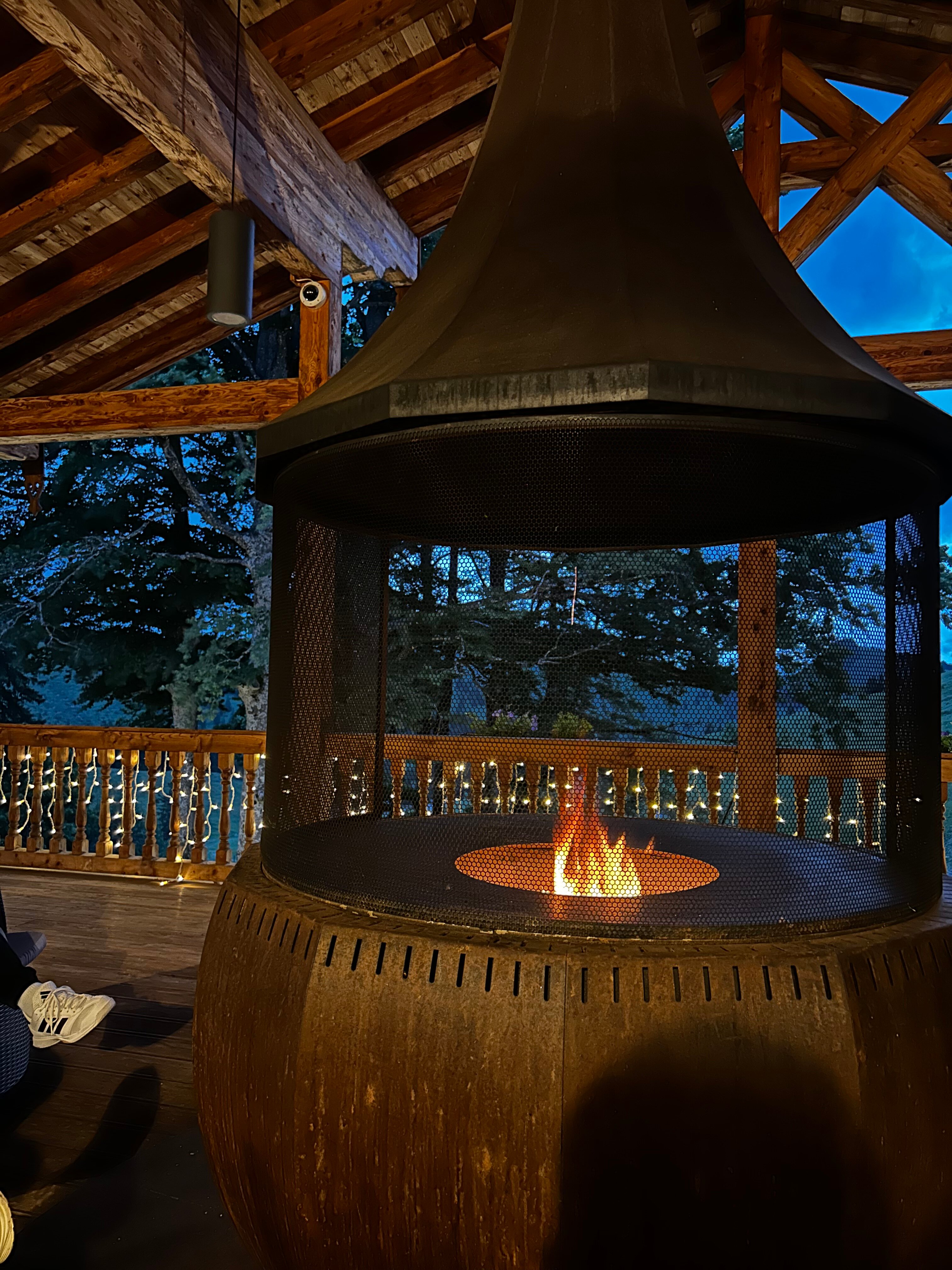 苏德乐费得柏格酒店-旅行者