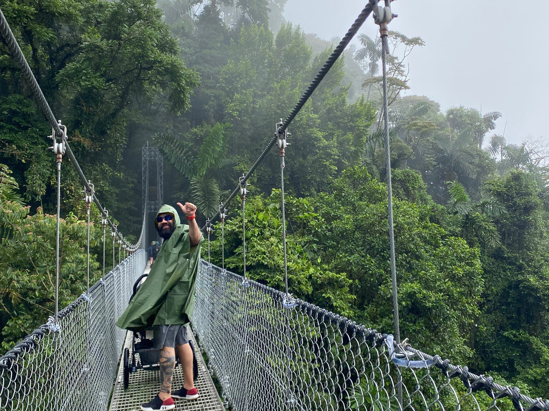 Puentes Colgantes del Arenal-圣卡洛斯必去景点
