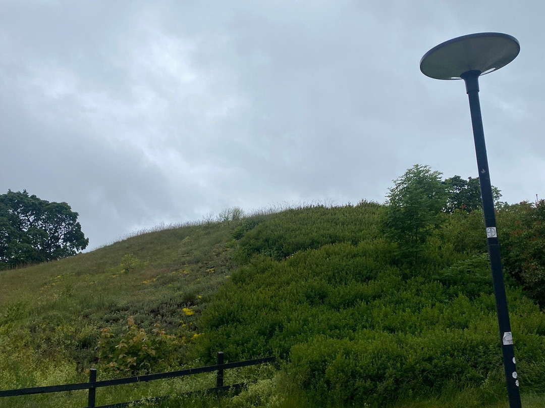 Royal Mounds-Gamla Uppsala必去景点