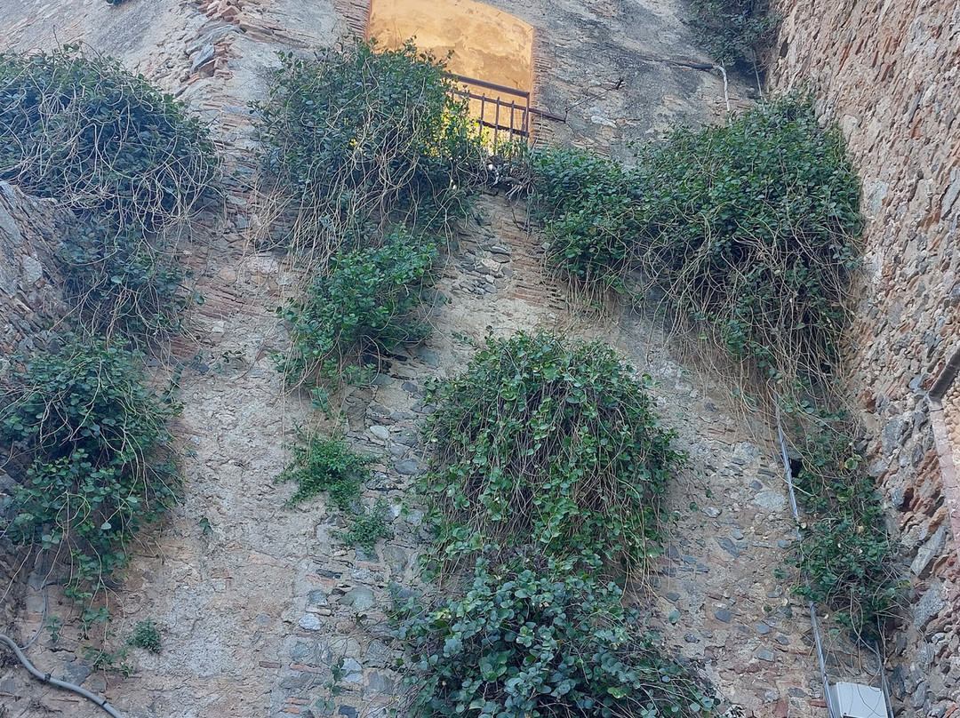 Castello Ruffo di Scilla-希拉必去景点