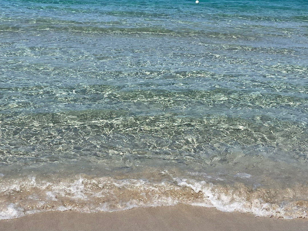 Zeus Beach-加里波利必去景点