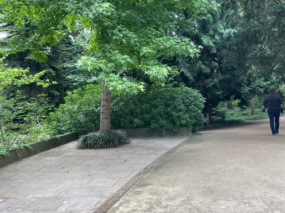 TU Delft Hortus Botanicus-代尔夫特必去景点