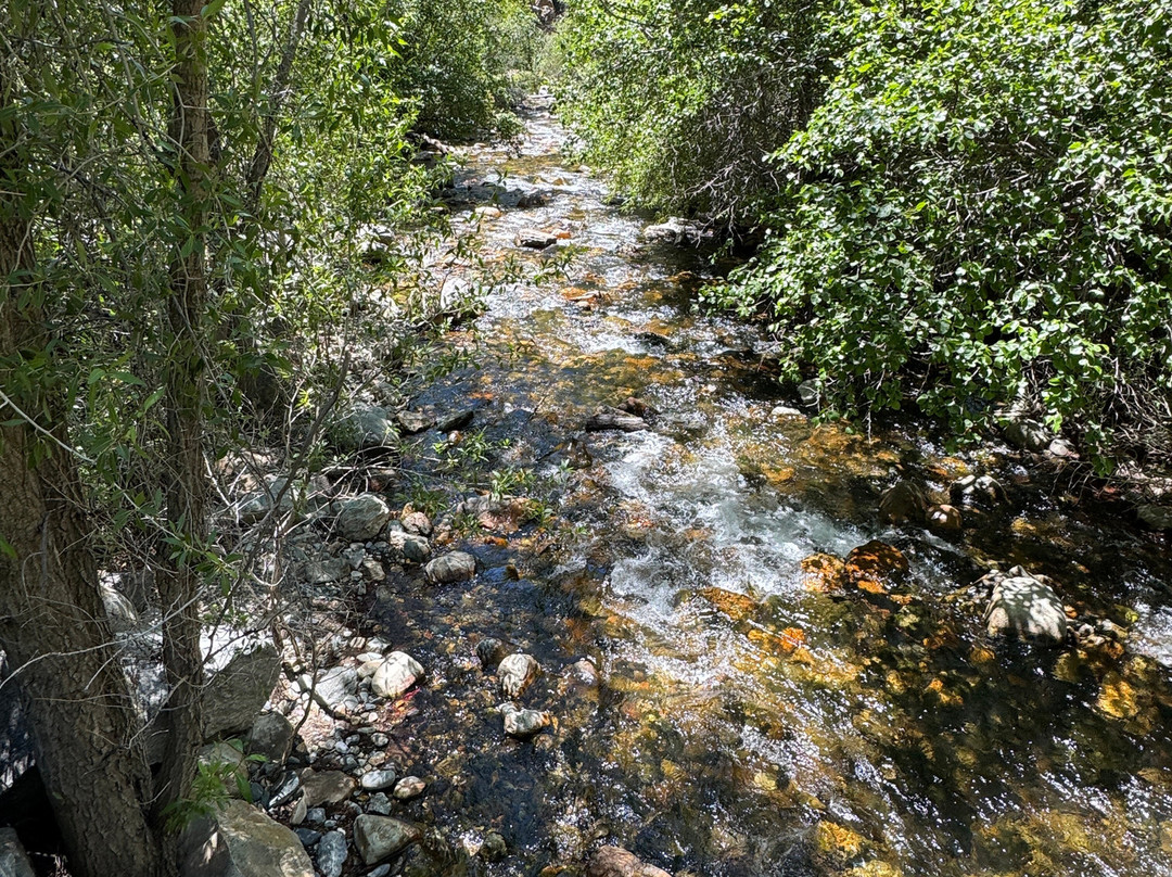 Guardsman Pass Scenic Backway-帕克城必去景点