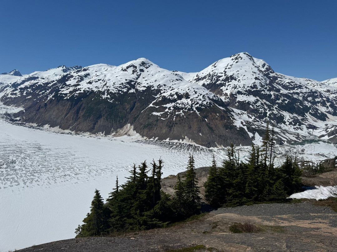 Whitecap to Icecap Adventures-Stewart必去景点