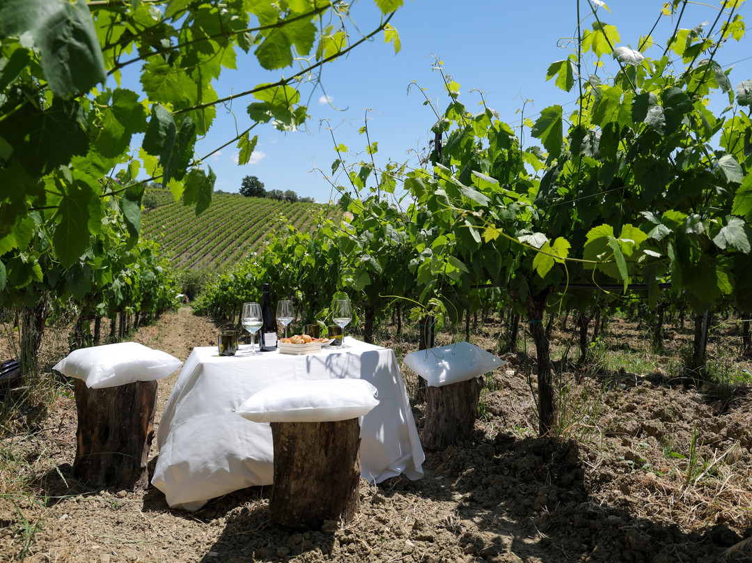 Sapentia Wine - L'Eredità del Vino-Guardia Sanframondi必去景点