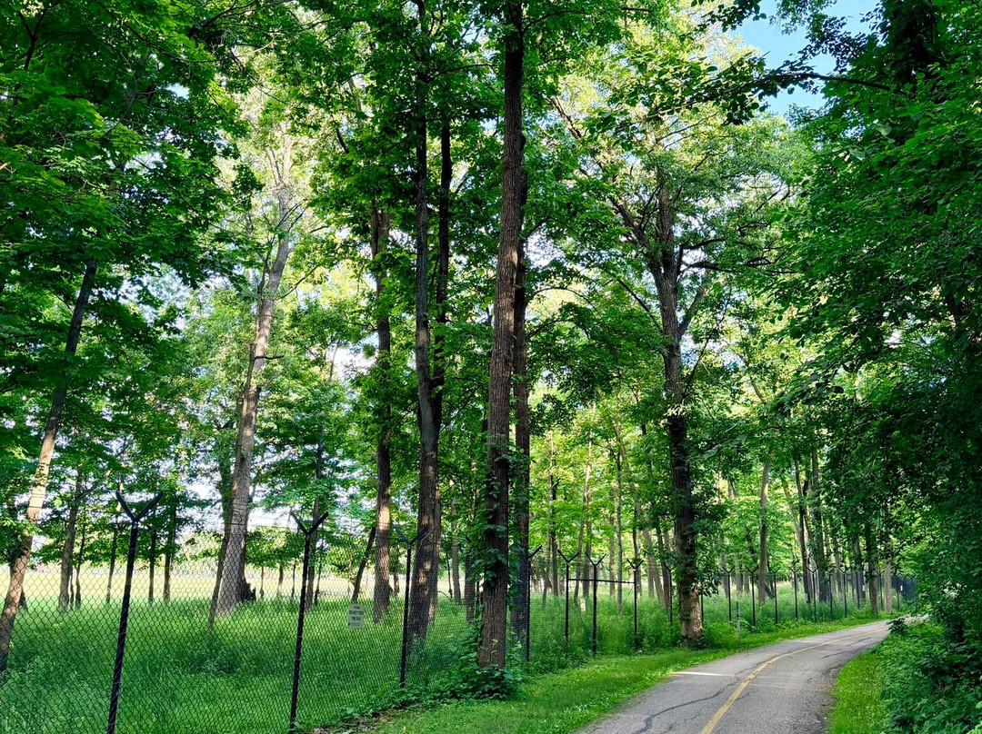 Busse Woods Trail System-埃尔克格罗夫村必去景点