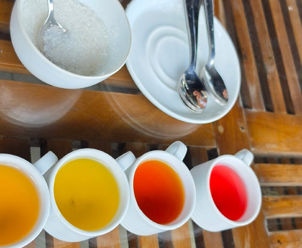 Glenloch Tea Factory-Katukitula必去景点