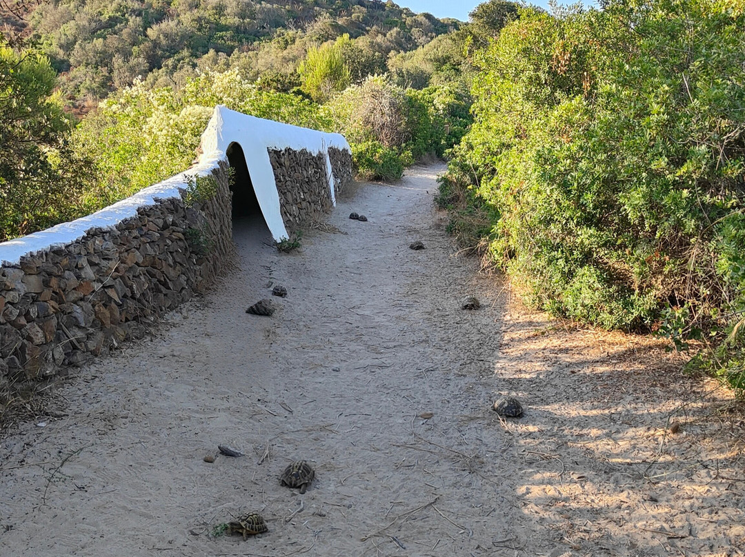 Nature Parc of S'Albufera des Grau-米诺卡必去景点