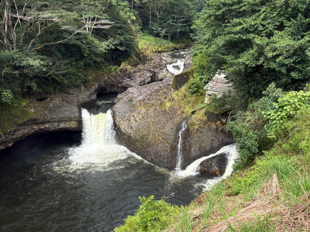 O.k. Farms (the Farm At Rainbow Falls)-希洛必去景点