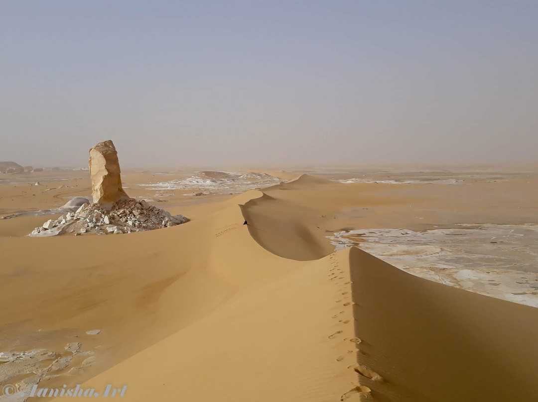 Bedouin Trails