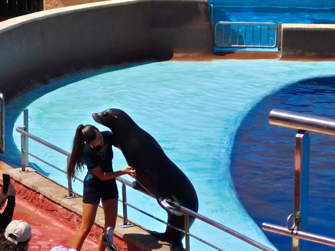 Marineland Catalunya-Palafolls必去景点