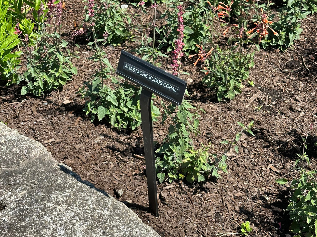 Charlotte Rhoades Garden and Butterfly Park-Southwest Harbor必去景点