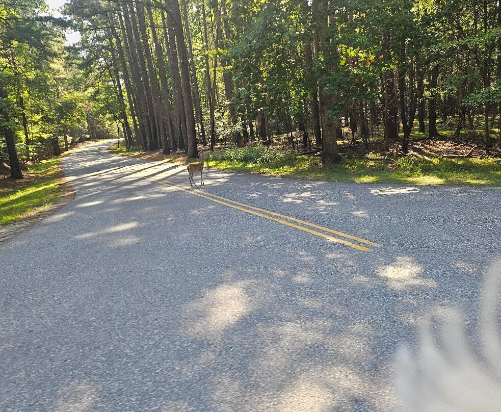 Lake Norman State Park-Troutman必去景点