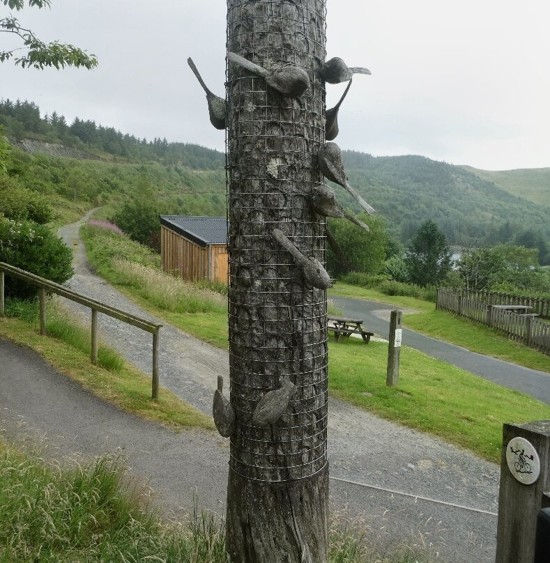 Bwlch Nant yr Arian Forest Visitor Centre-阿伯里斯特威斯必去景点