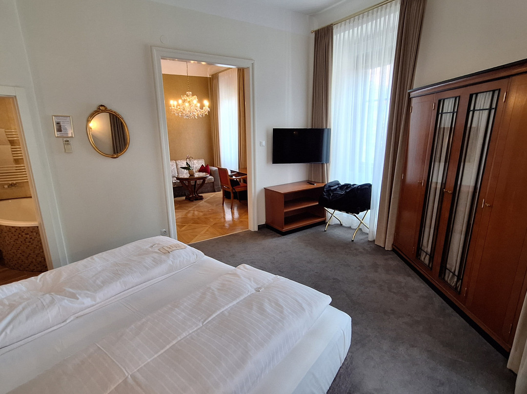 格拉茨传统华丽帕克酒店主图