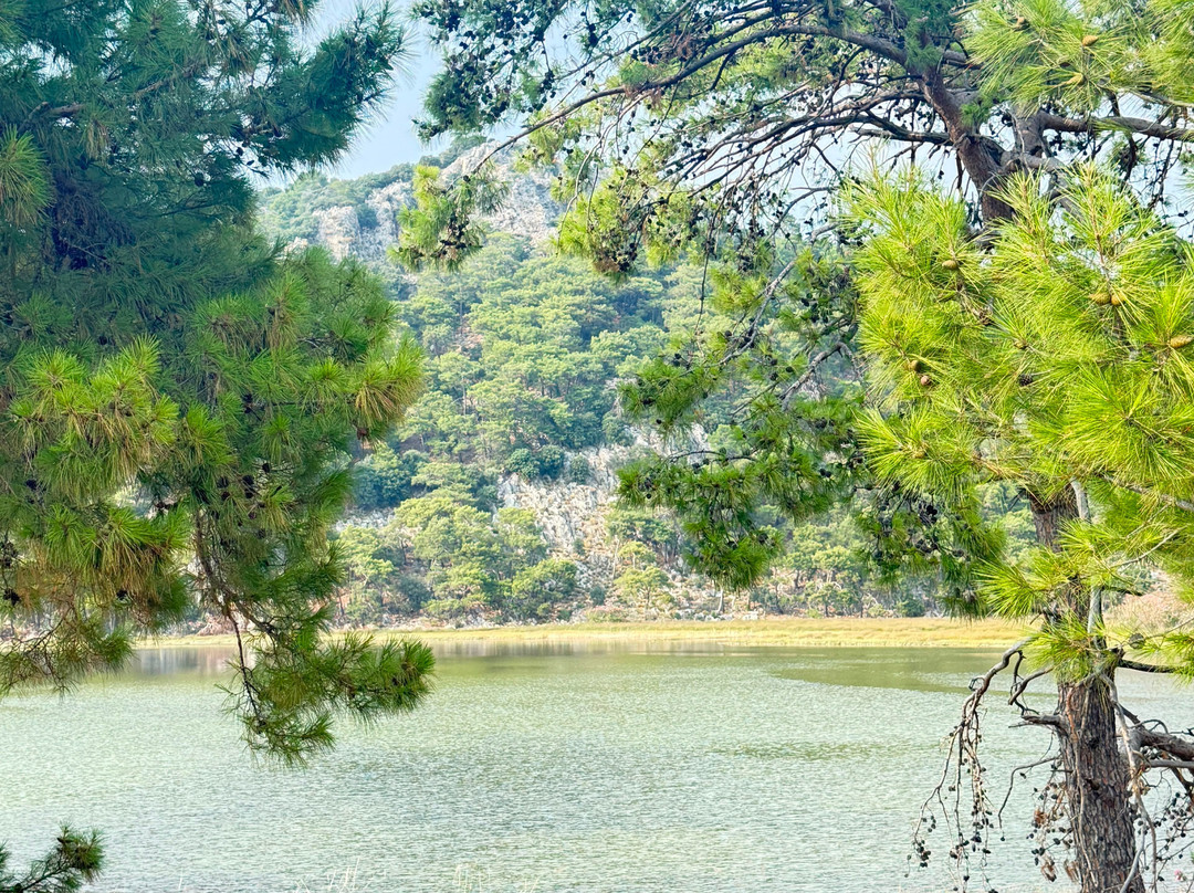 Iztuzu Beach-达利安必去景点
