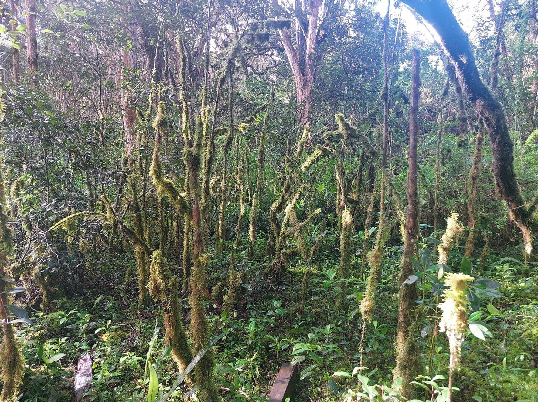 Bosque de los Arrayanes-Tulcan必去景点