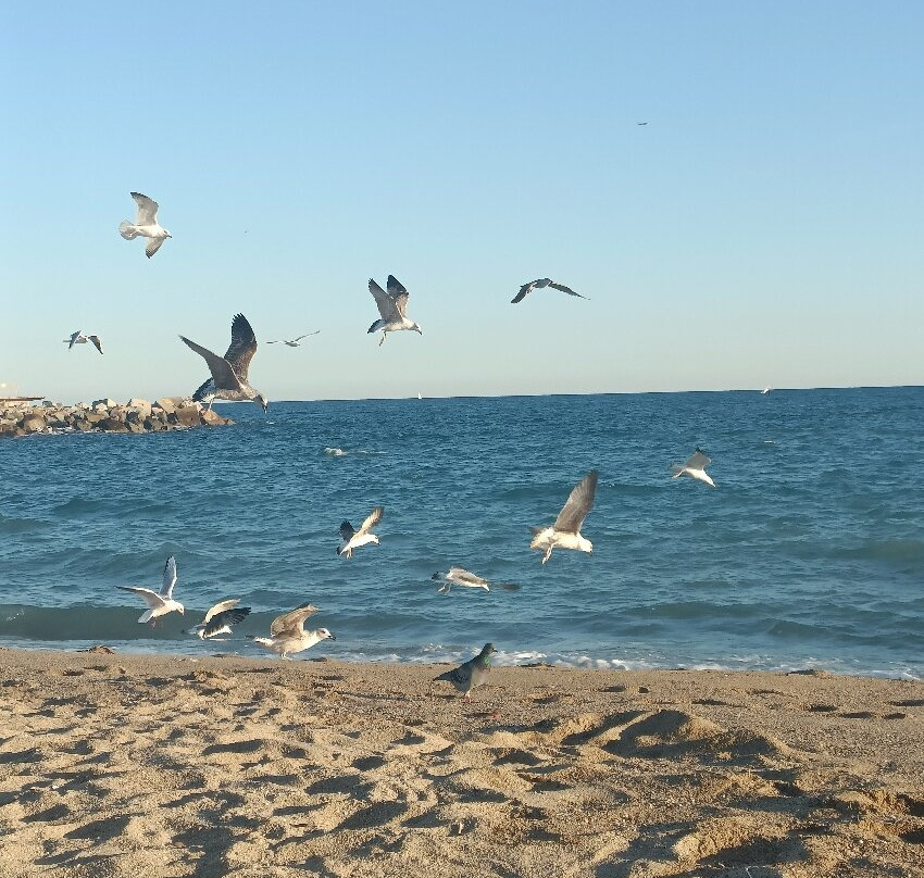 Playa Gavà-加瓦必去景点